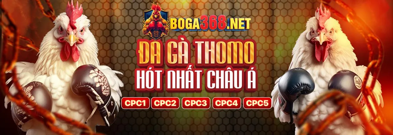 Sàn đấu đá gà trực tuyến 789pp